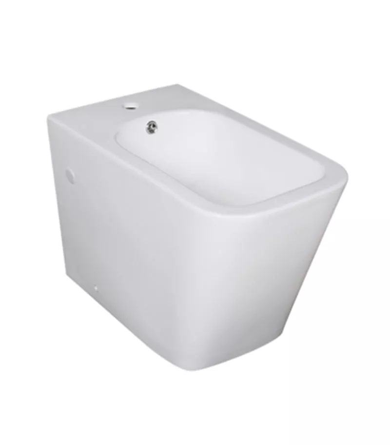 Reno 203BD Wall Faced Bidet