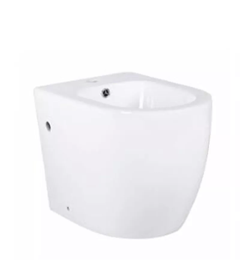 Reno 205BD Wall Faced Bidet