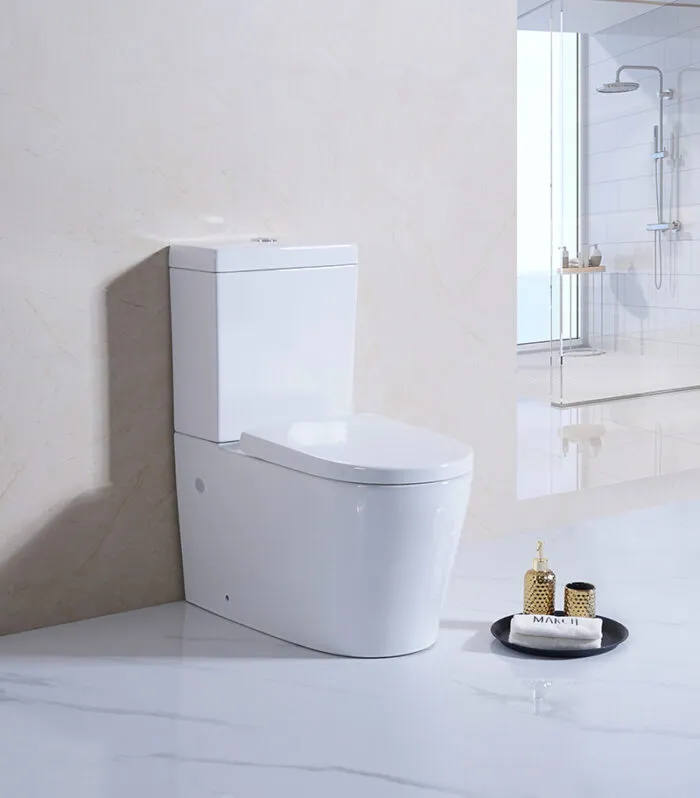 Reno 002 Wall Faced Universal Toilet Suite With Background