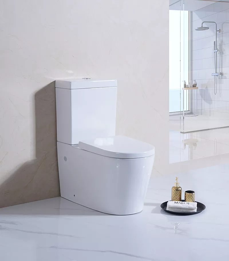 Reno 002 Wall Faced Universal Toilet Suite With Background