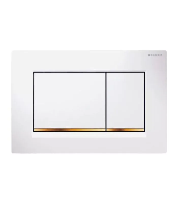 Geberit Sigma Dual Flush Push Plate – Sigma30KK | Matte White