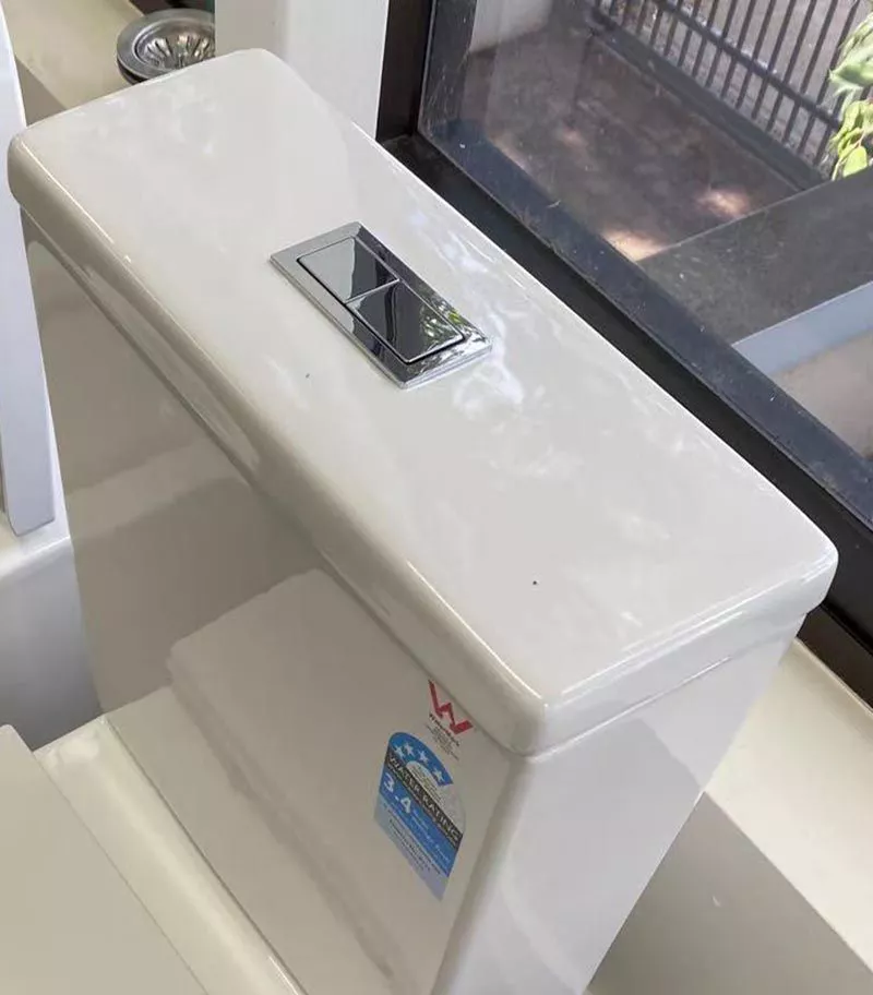 Milano Rimless Flush Wall Faced Universal Toilet Suite