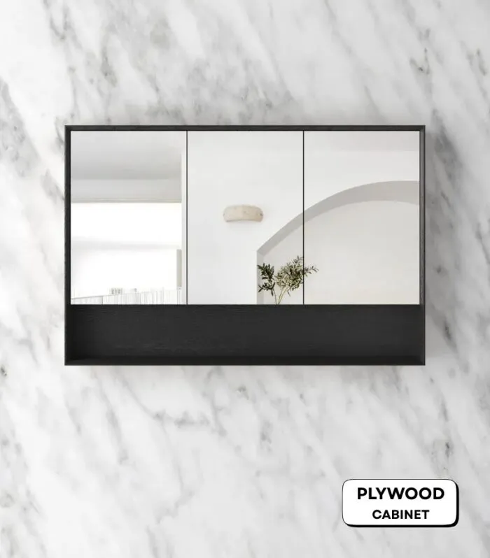 Byron 1200x800mm Shaving Cabinet - Black Oak