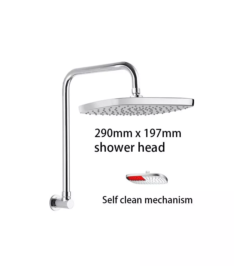 Huntingwood Chrome Self Cleaning Shower Head With Arm