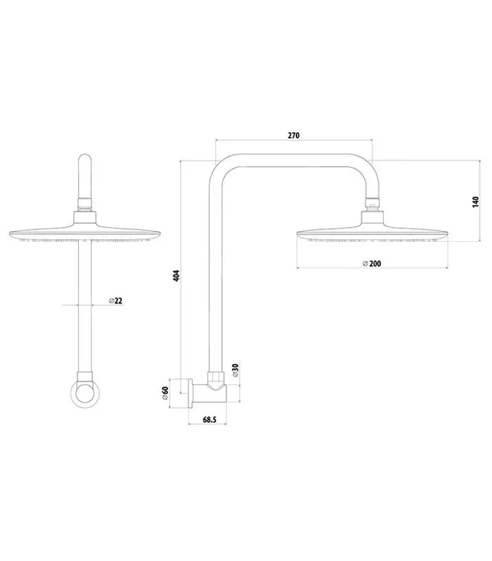Elle Stainless Steel Gooseneck Shower Head With Arm