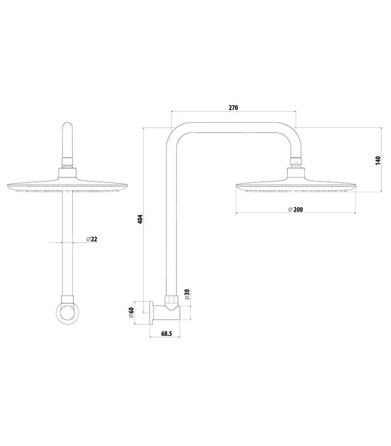 Elle Stainless Steel Gooseneck Shower Head With Arm