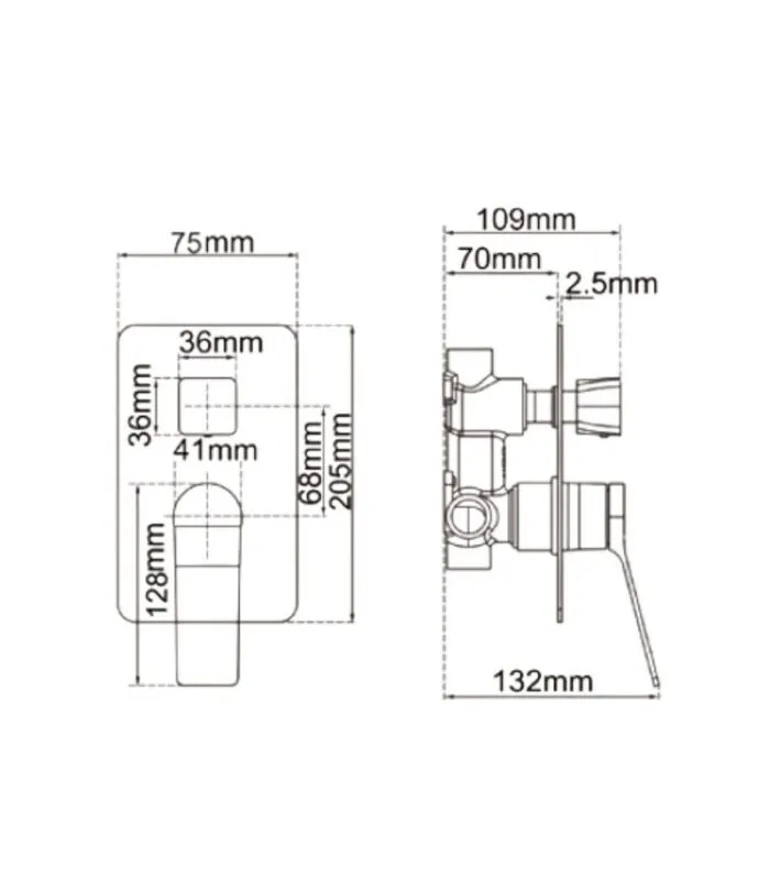 Rushy Wall Mixer with Diverter - Specification