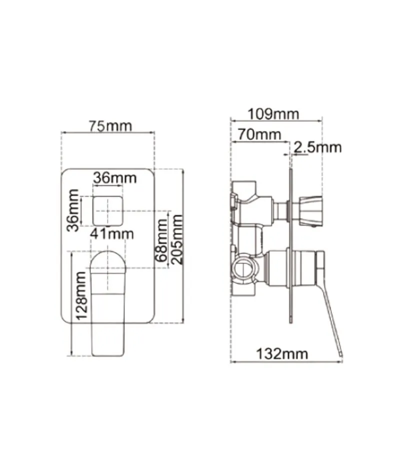 Rushy Wall Mixer with Diverter - Specification