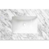 Natural Carrara With Undermount Basin